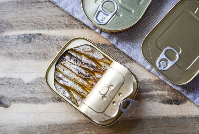 can-cats-eat-canned-sardines-21cats