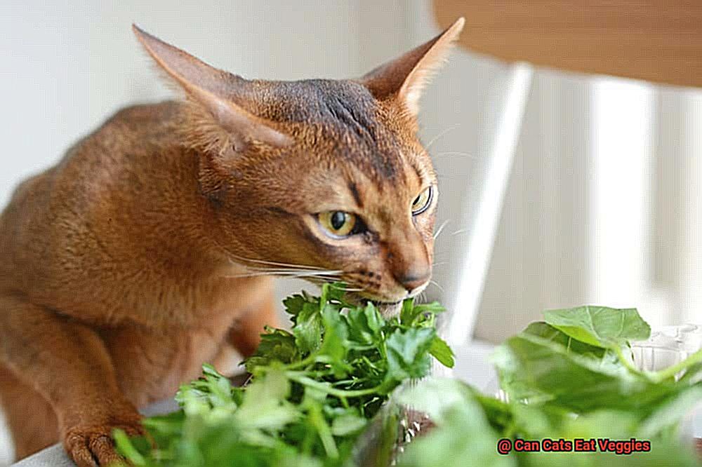 Can Cats Eat Veggies-5