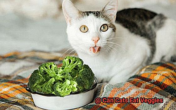 Can Cats Eat Veggies-7