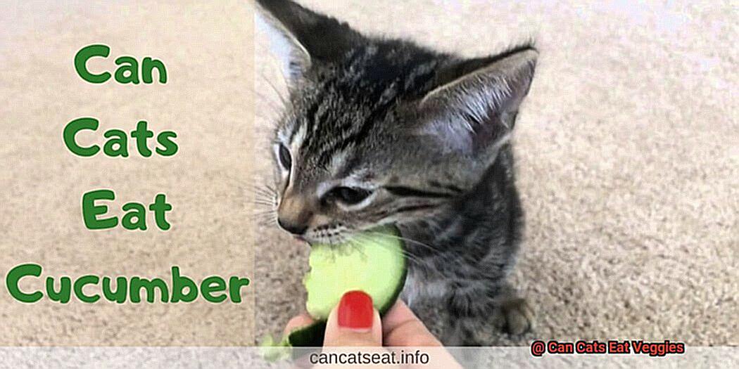 Can Cats Eat Veggies-2