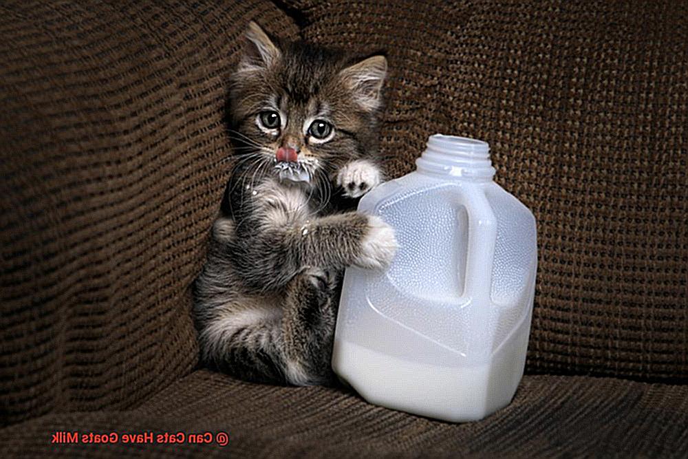 Can Cats Have Goats Milk-2