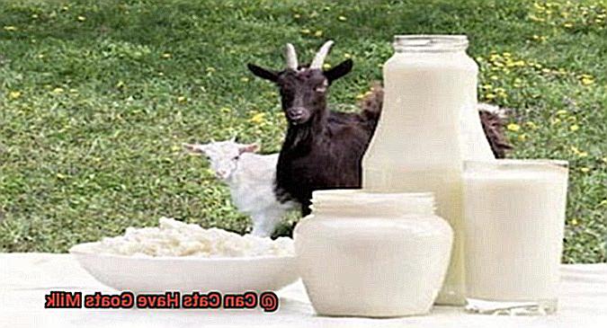 Can Cats Have Goats Milk-3