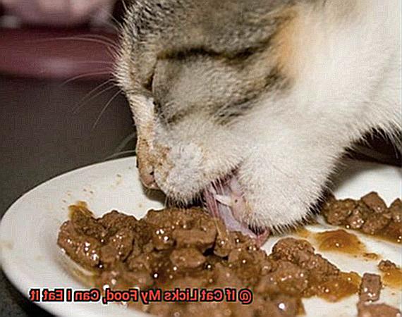 If Cat Licks My Food, Can I Eat It-2