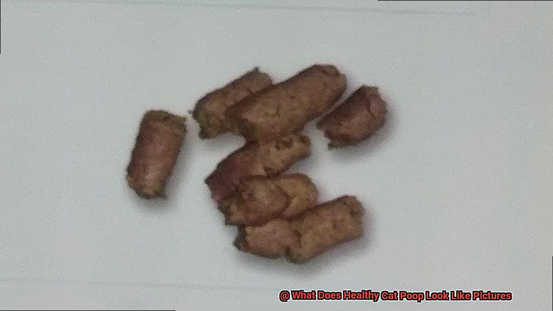 What Does Healthy Cat Poop Look Like Pictures-4