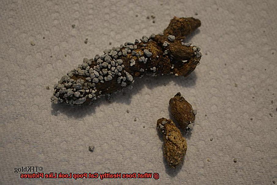 What Does Healthy Cat Poop Look Like Pictures-5