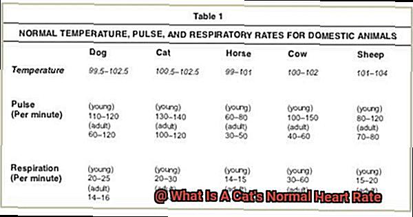 What Is A Cat's Normal Heart Rate-3