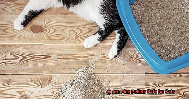 Are Pine Pellets Safe for Cats-9