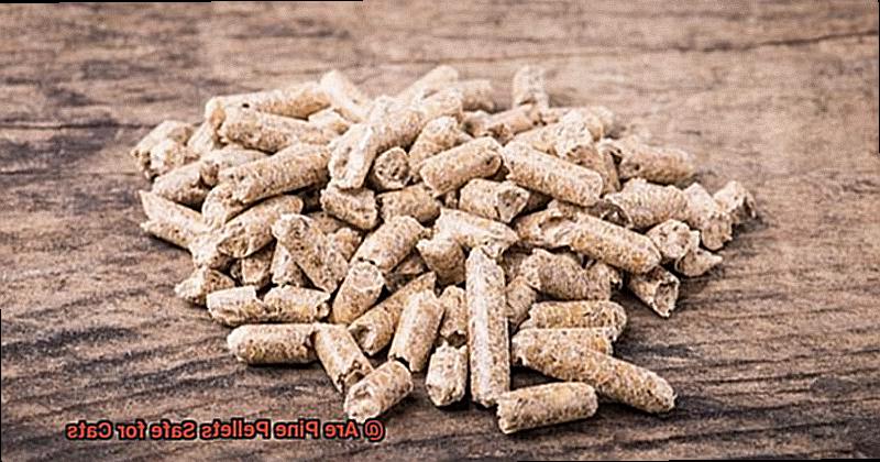 Are Pine Pellets Safe for Cats-6
