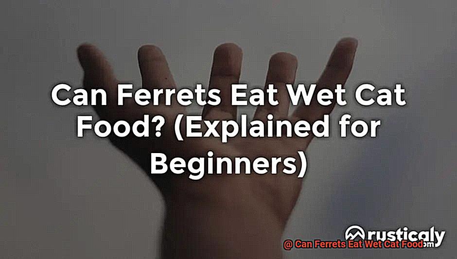 Can Ferrets Eat Wet Cat Food-6