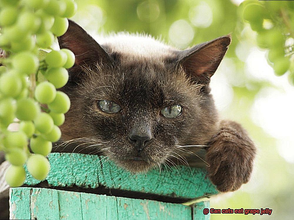 Can cats eat grape jelly-4