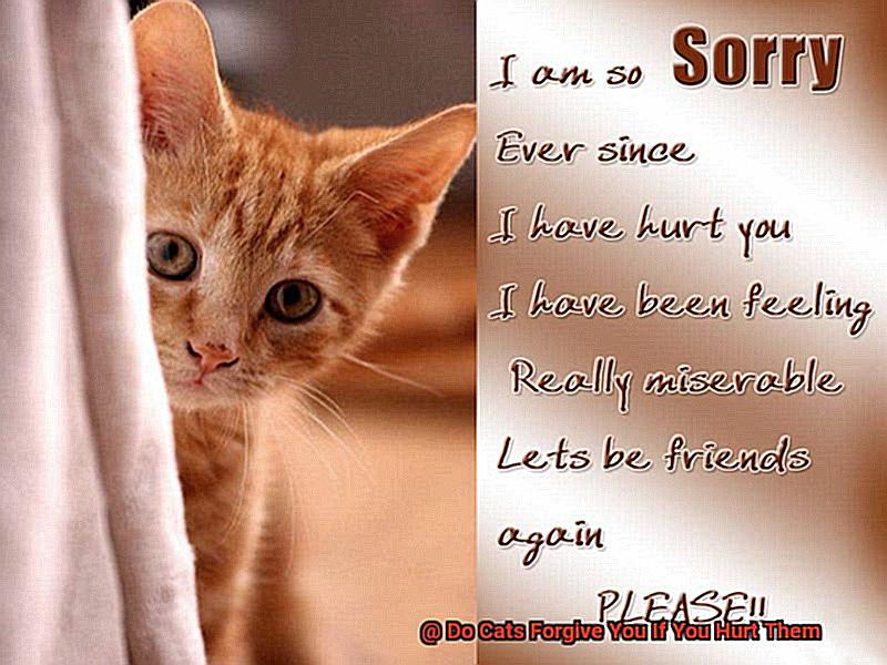 Do Cats Forgive You If You Hurt Them-3
