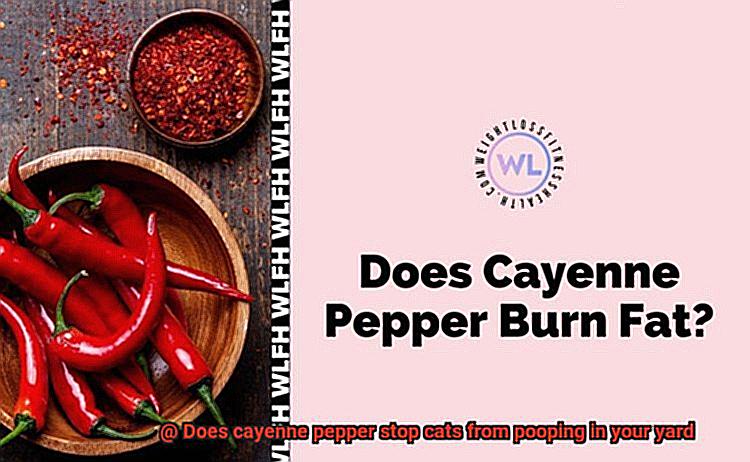 Does cayenne pepper stop cats from pooping in your yard-2
