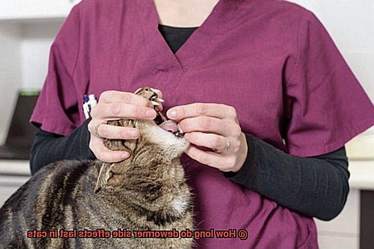 How long do dewormer side effects last in cats-3