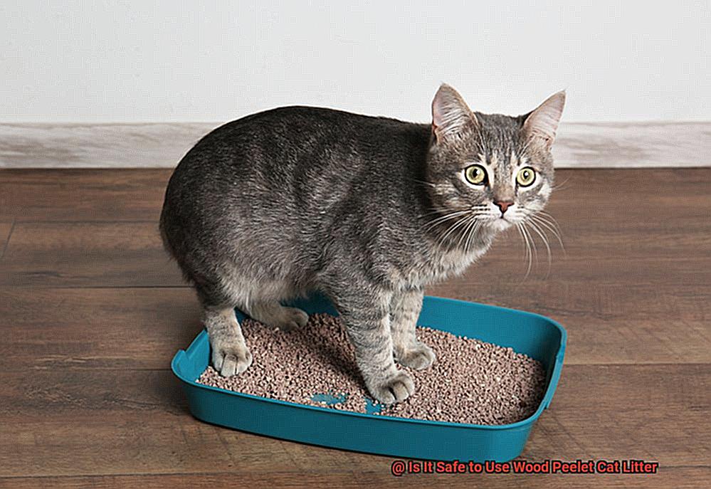 Is It Safe to Use Wood Peelet Cat Litter-3
