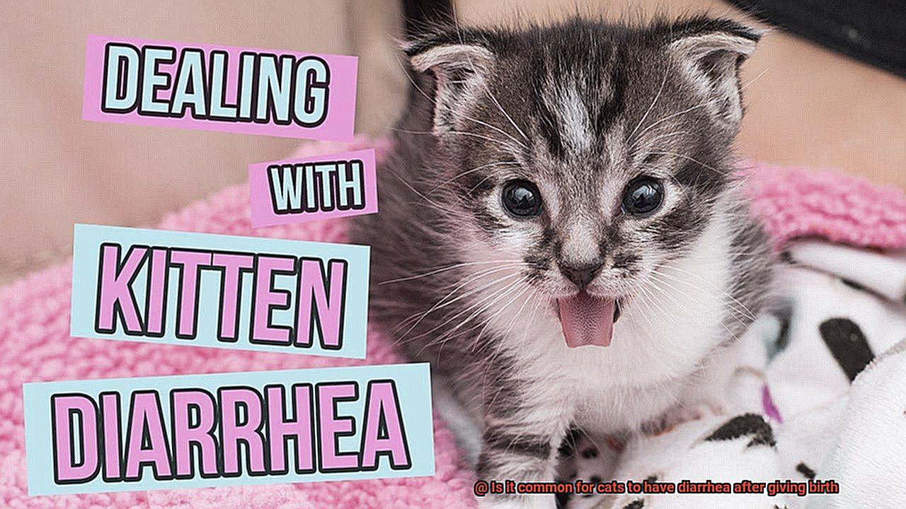 Is it common for cats to have diarrhea after giving birth-5