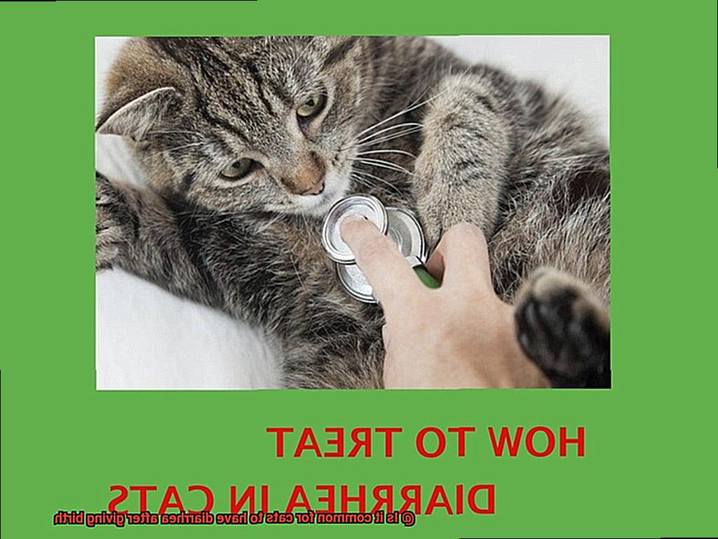 Is it common for cats to have diarrhea after giving birth-4