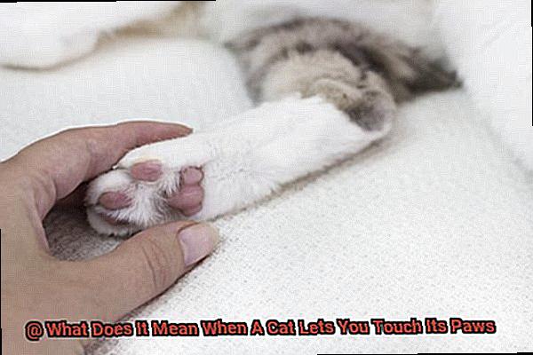 What Does It Mean When A Cat Lets You Touch Its Paws-2