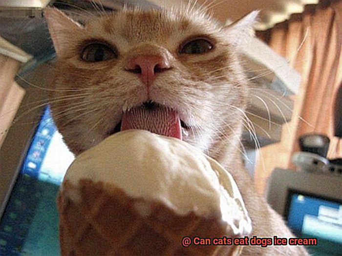 Can cats eat dogs ice cream-3