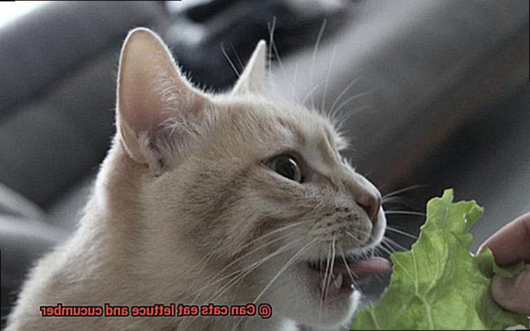 Can cats eat lettuce and cucumber-5