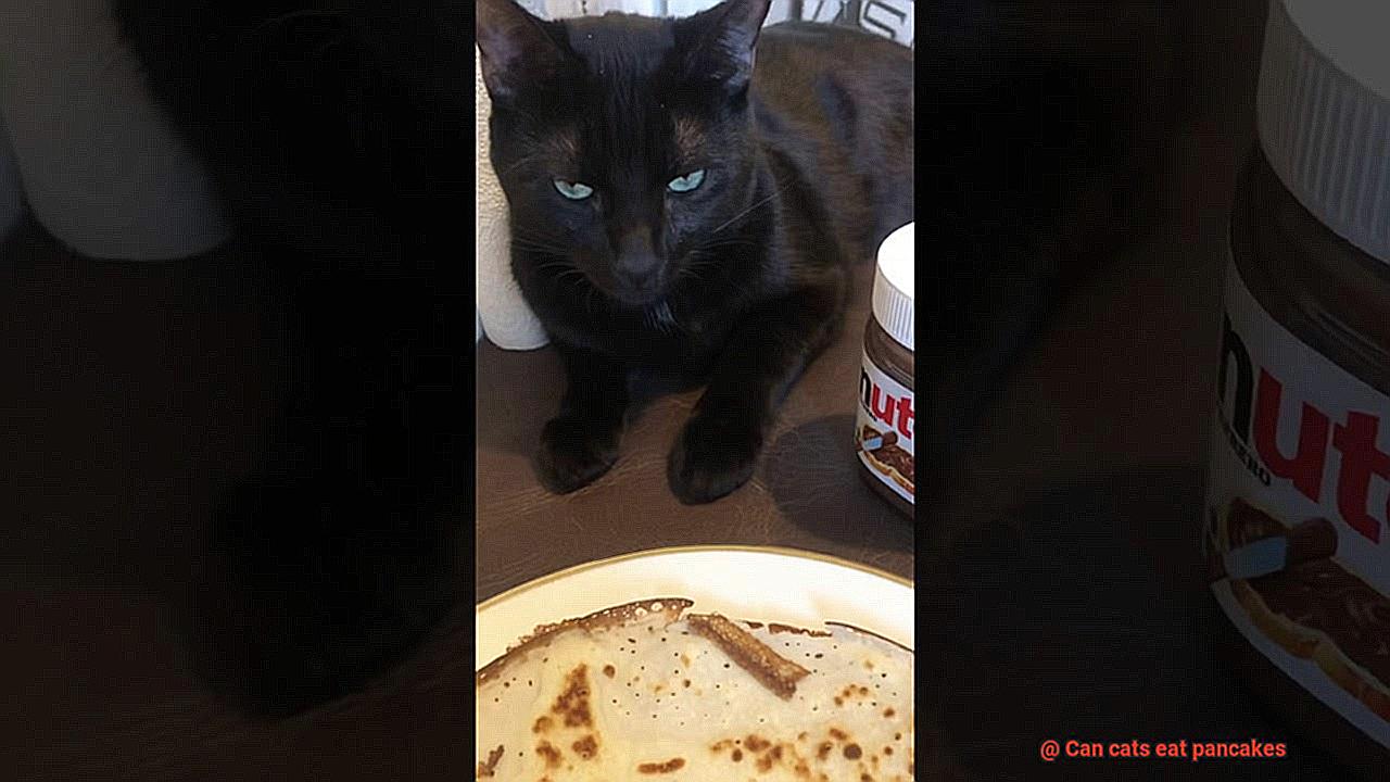 Can cats eat pancakes-4