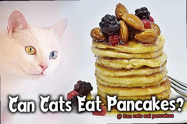 Can cats eat pancakes-6