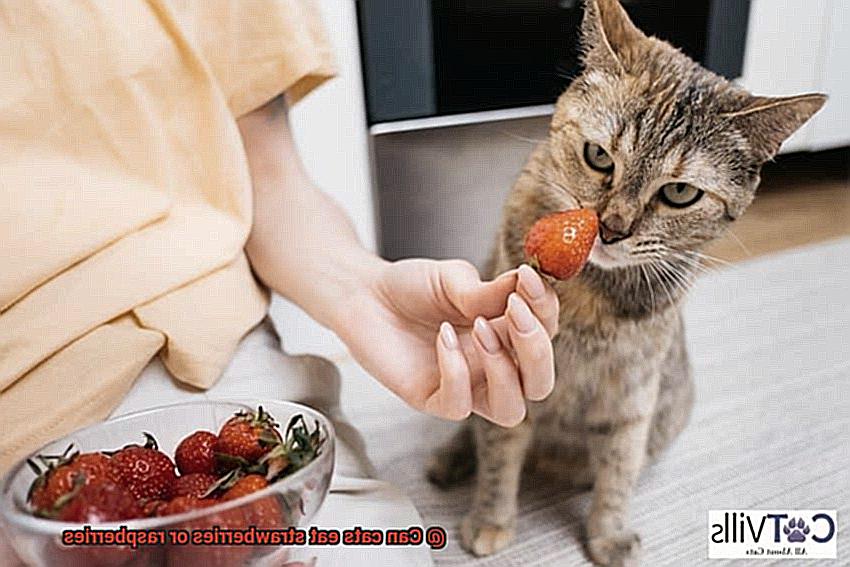 Can cats eat strawberries or raspberries-3