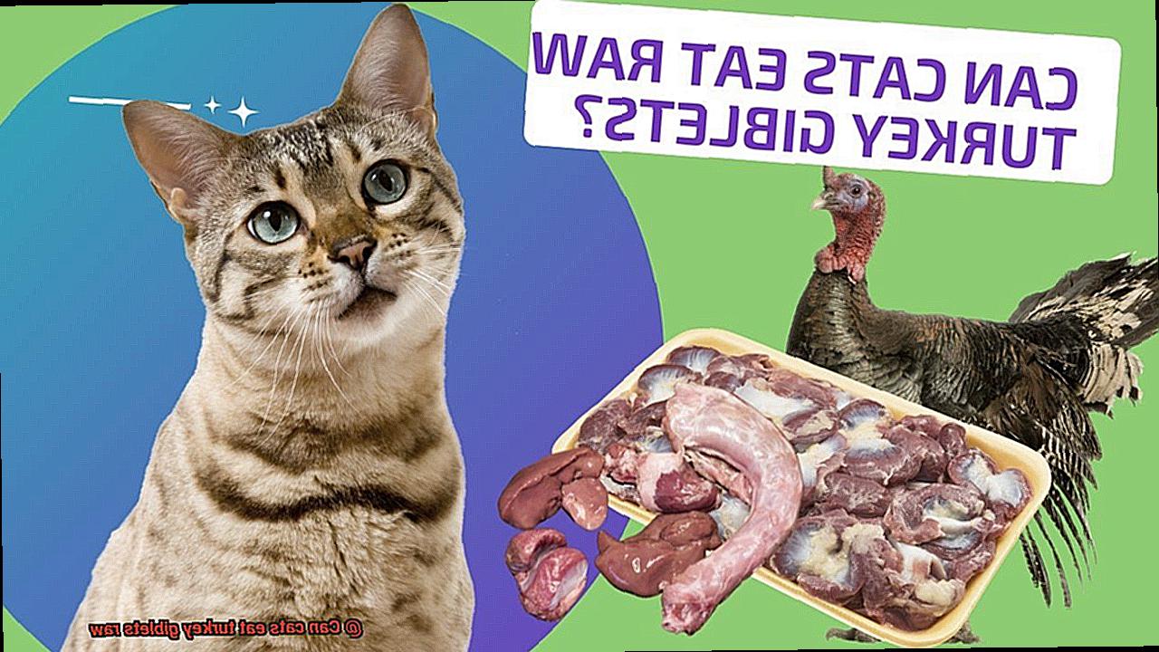 Can cats eat turkey giblets raw-3