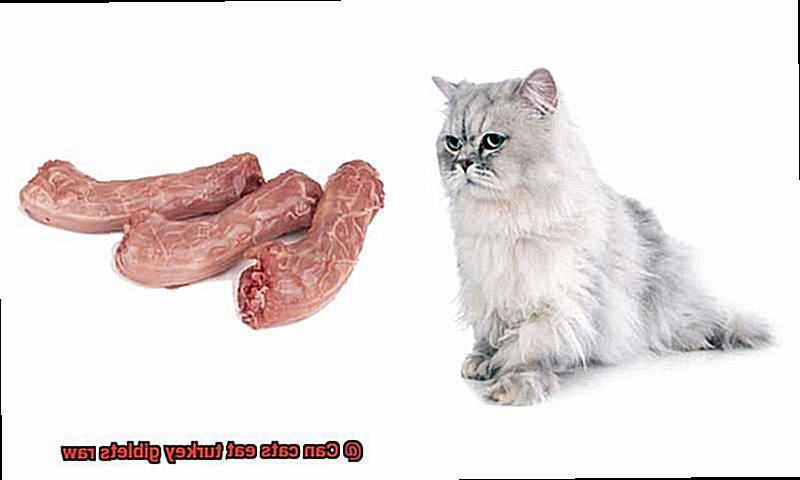 Can cats eat turkey giblets raw? - 21Cats.org