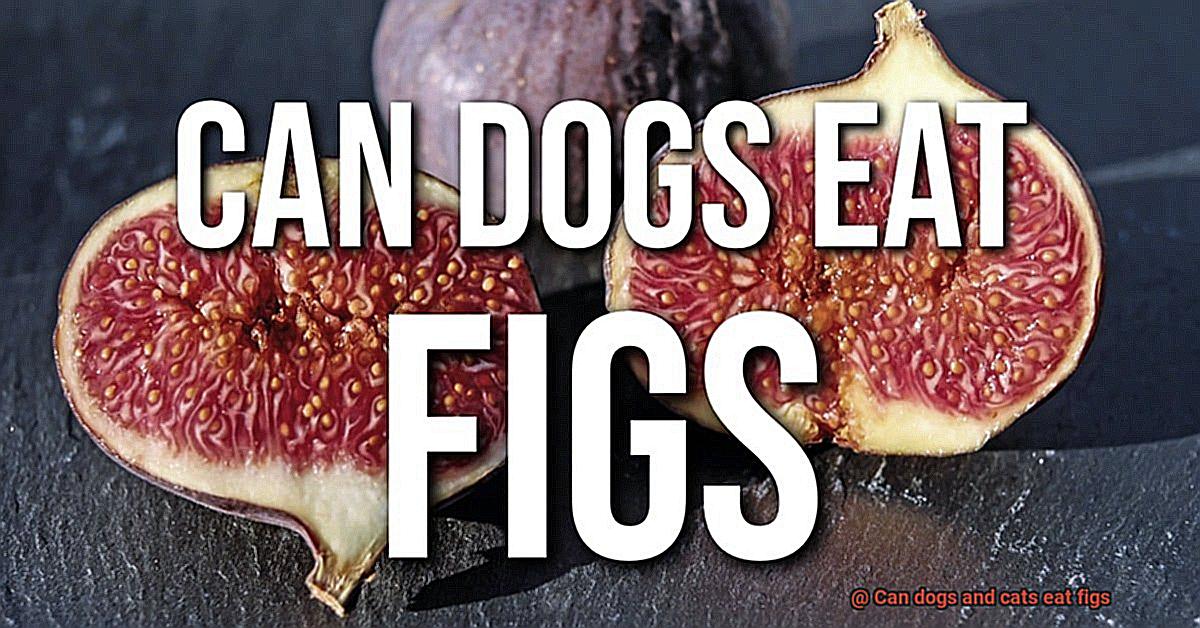 Can dogs and cats eat figs-2