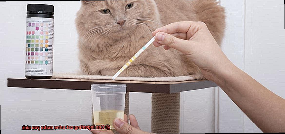 Can ingesting cat urine make you sick-4