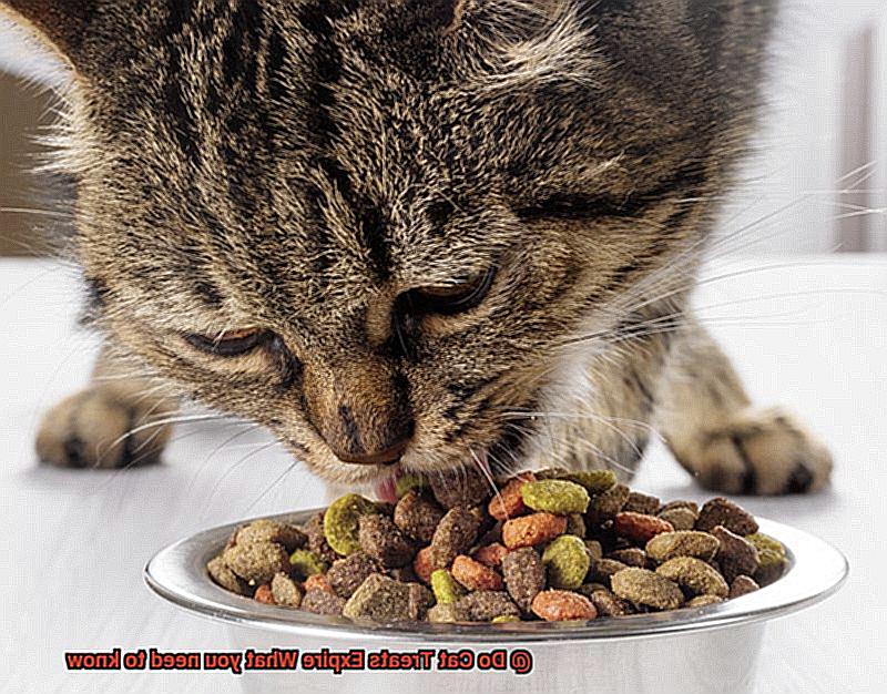 Do Cat Treats Expire What you need to know-2