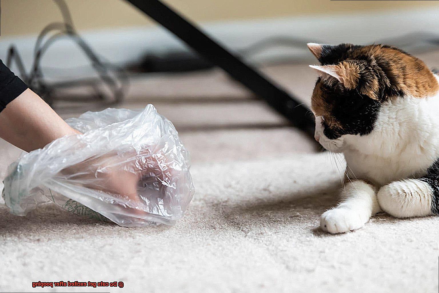 Do cats get excited after pooping?