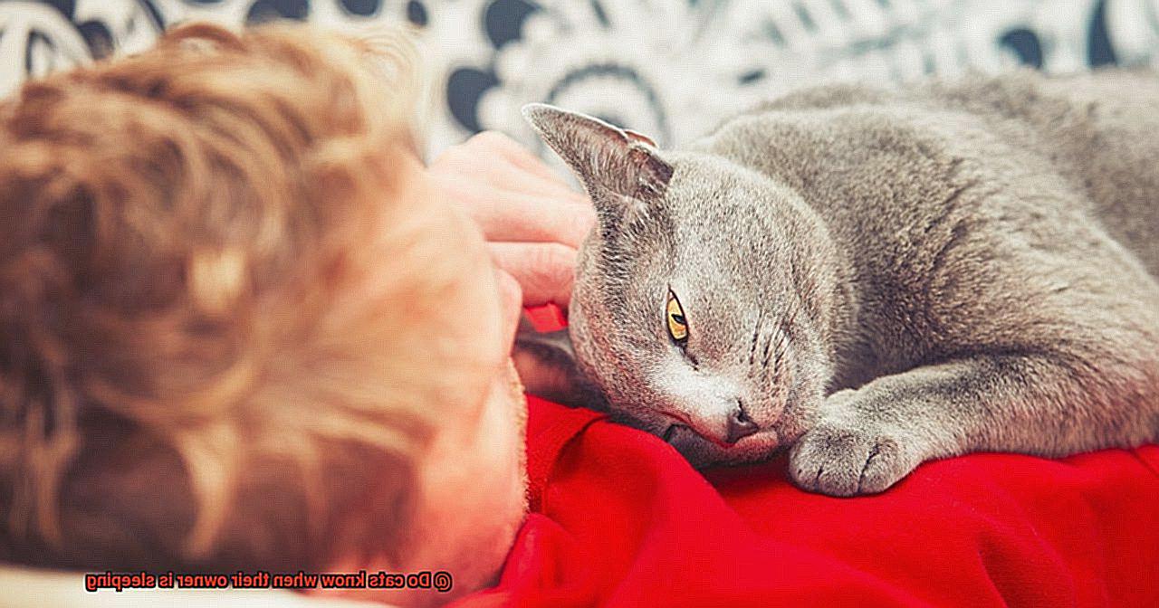 Do cats know when their owner is sleeping-3