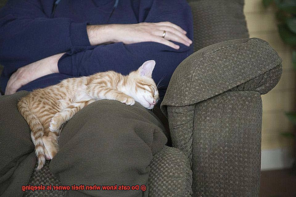 Do cats know when their owner is sleeping-5