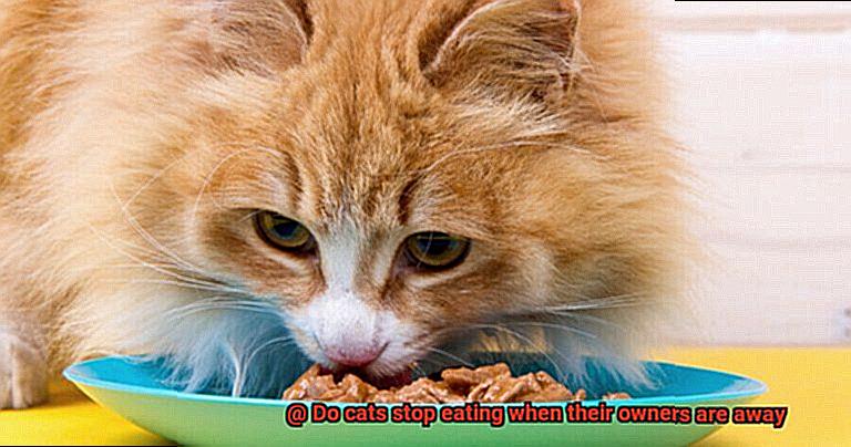 Do cats stop eating when their owners are away-4