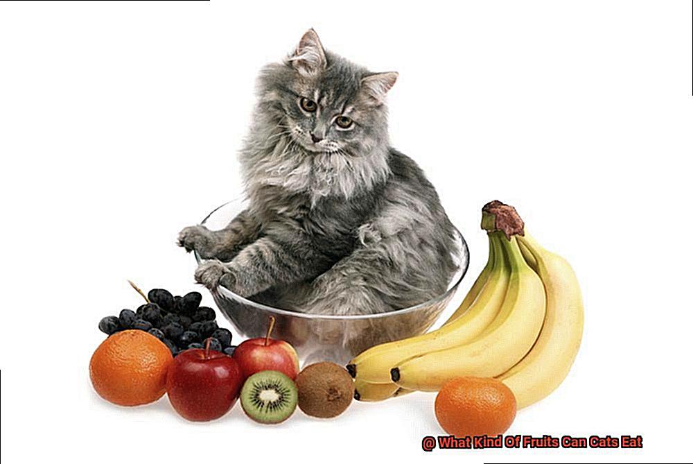 What Kind Of Fruits Can Cats Eat-2