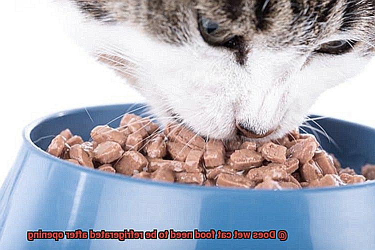 does-wet-cat-food-need-to-be-refrigerated-after-opening-21cats