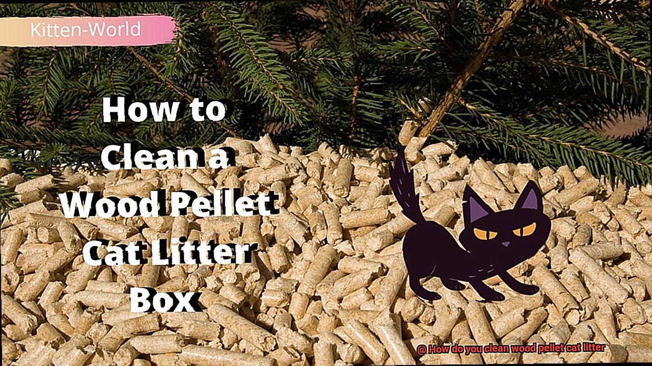 How do you clean wood pellet cat litter-2