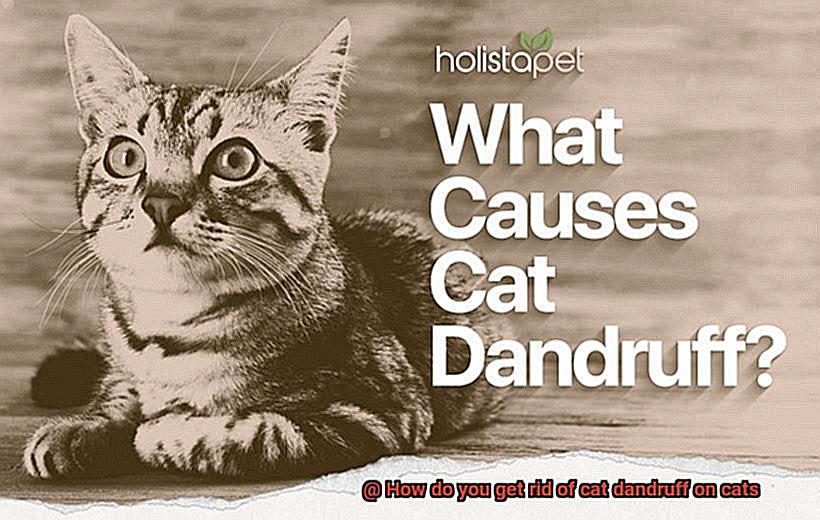 How do you get rid of cat dandruff on cats-3
