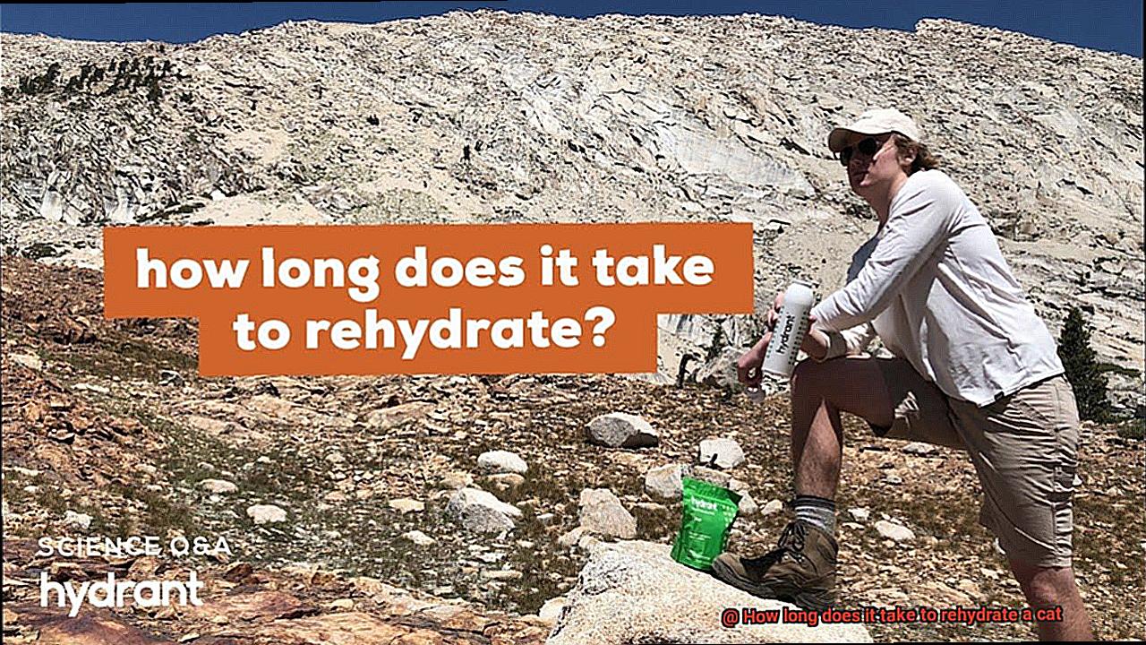 How long does it take to rehydrate a cat-3