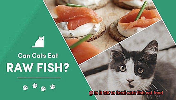 Is it OK to feed cats fish cat food-4