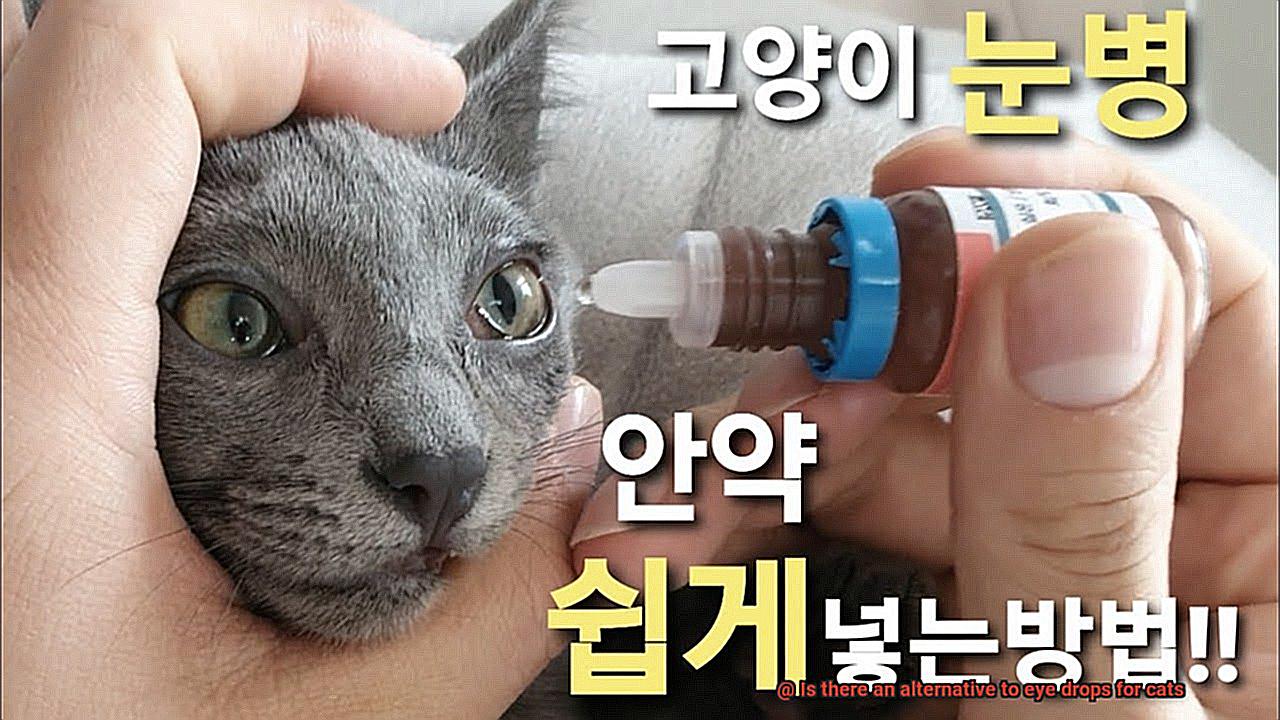 Is there an alternative to eye drops for cats-2