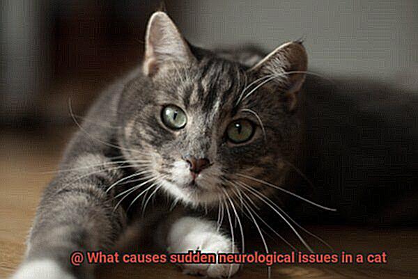 What causes sudden neurological issues in a cat-2