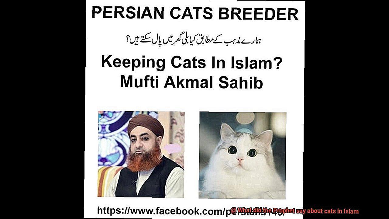 What did the Prophet say about cats in Islam-2