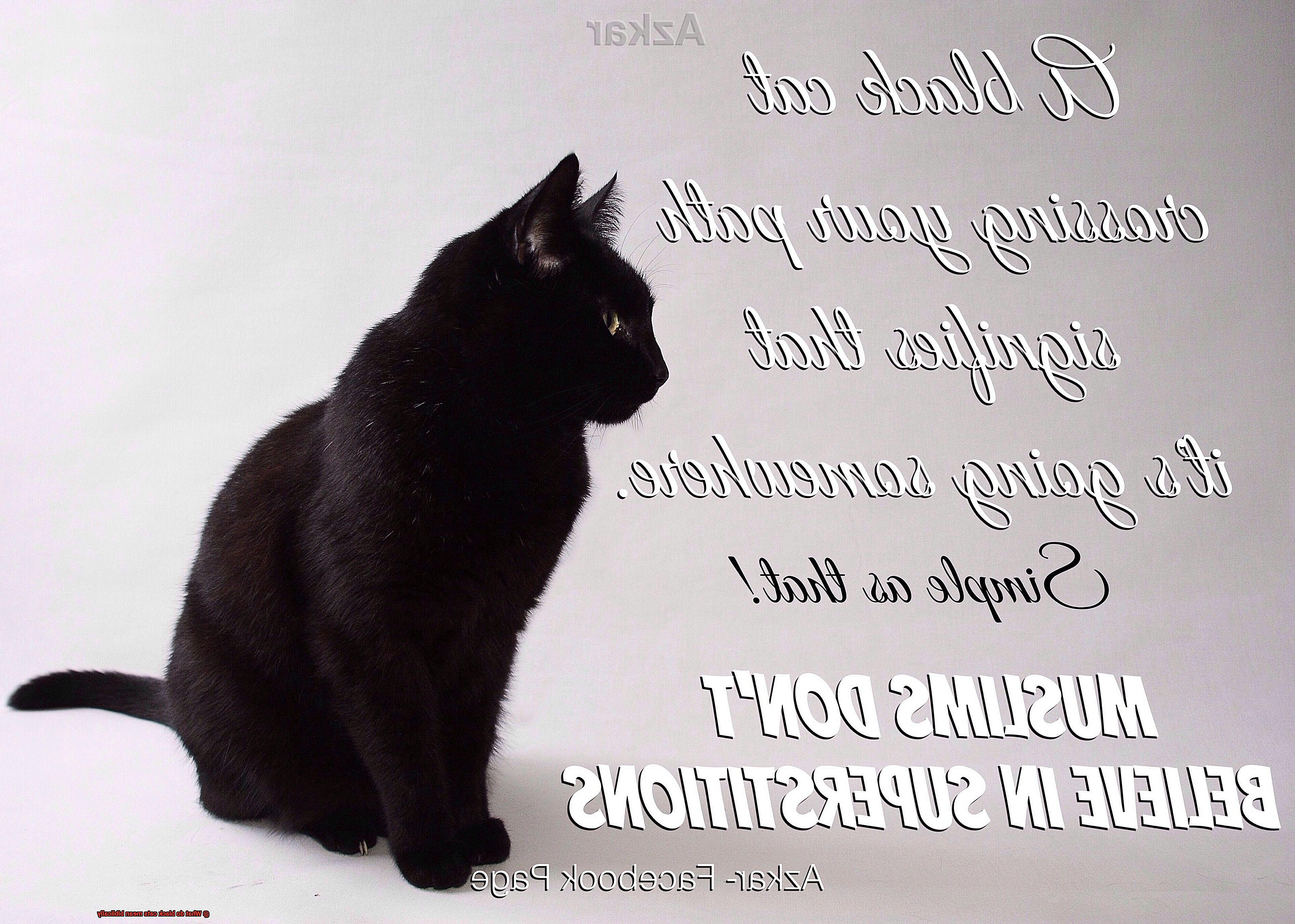 What do black cats mean biblically-3
