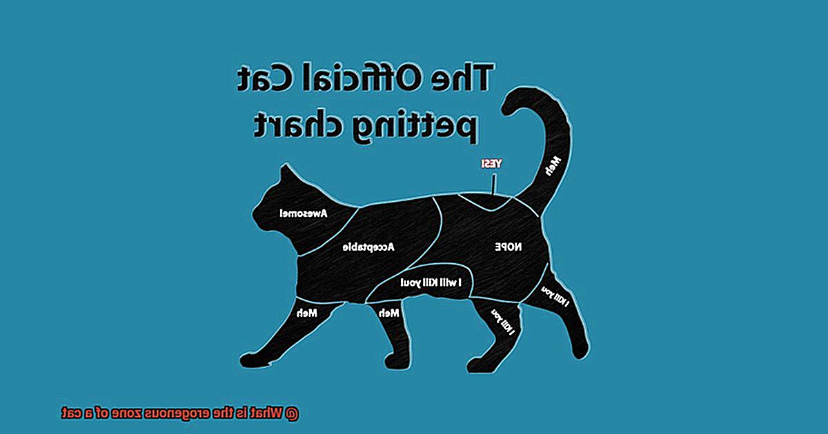 What is the erogenous zone of a cat-3