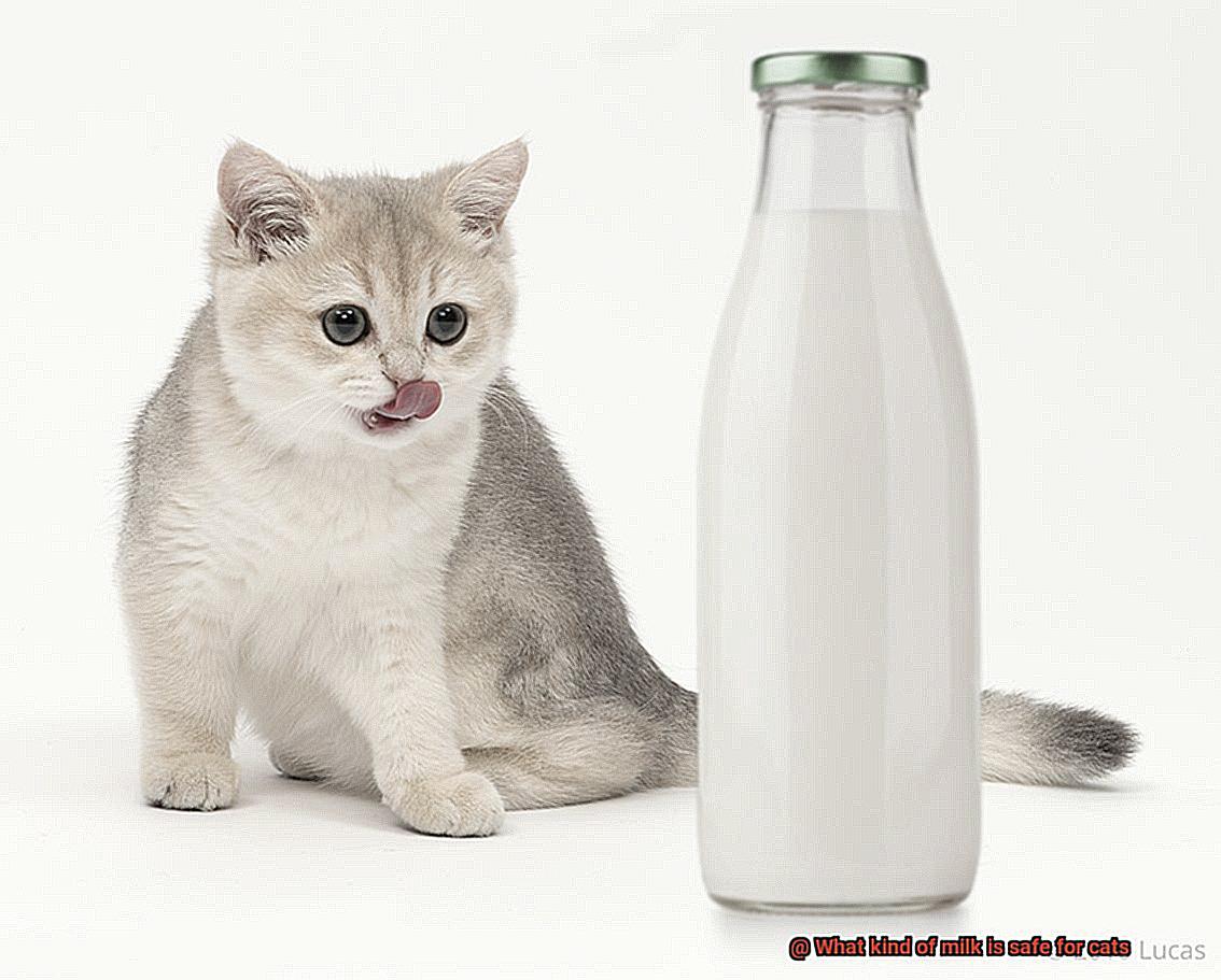 What kind of milk is safe for cats-4