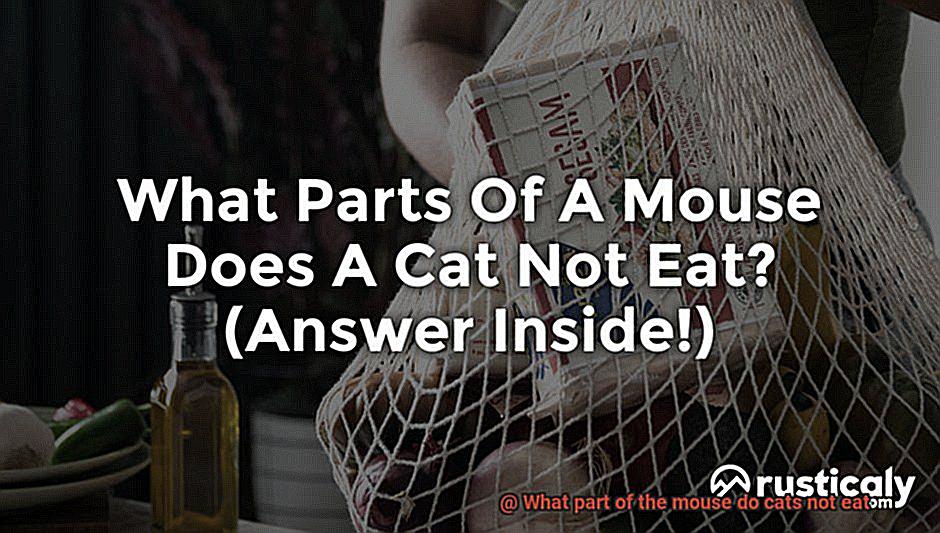 What part of the mouse do cats not eat-4