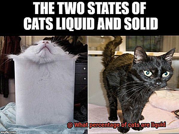 What percentage of cats are liquid-2