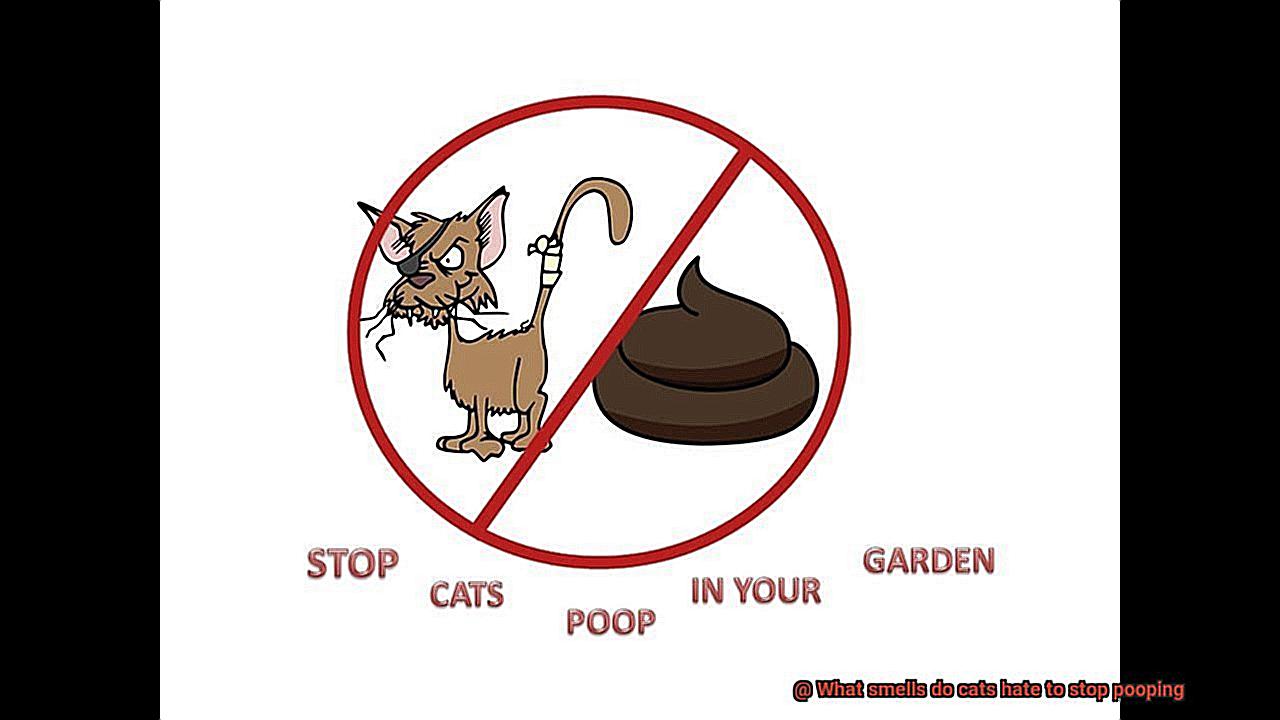 What smells do cats hate to stop pooping-4